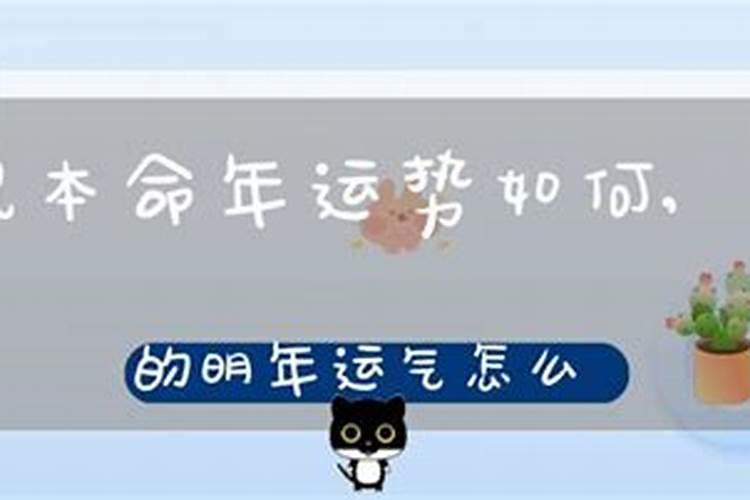 24年属牛的总体运程每月运程详解