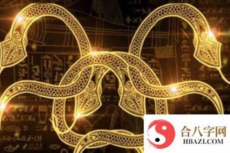 零一年出生的属什么是什么命？