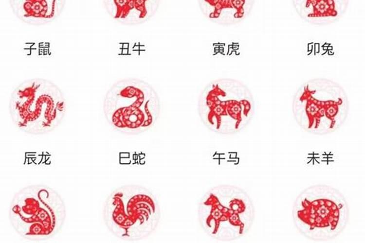 狗女和牛男的婚姻能走到头吗 两人相差太多