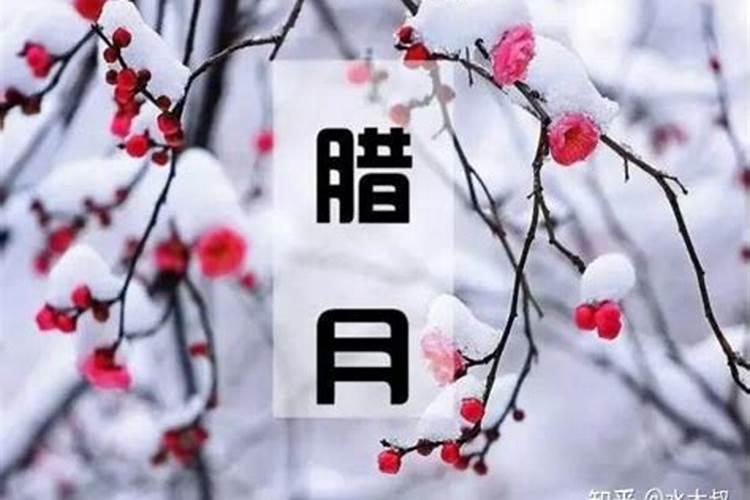 63年属兔2025年运势