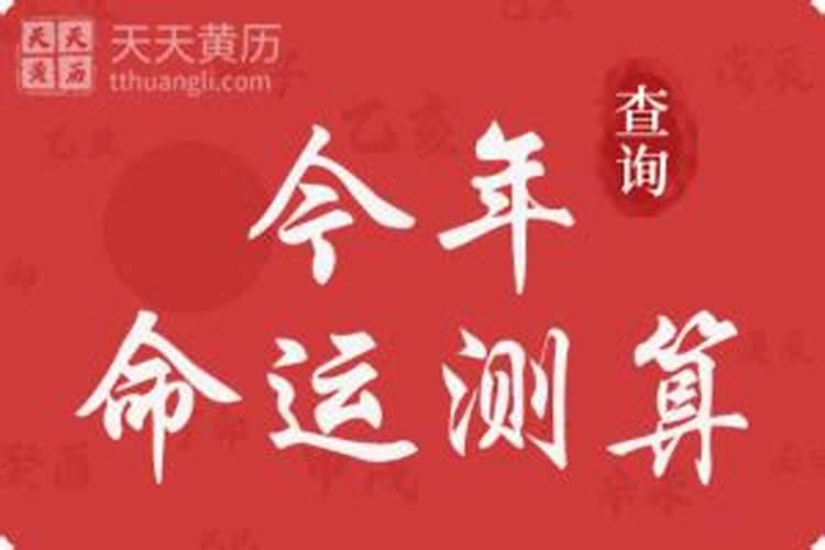 生肖虎2024年运势及运程详解