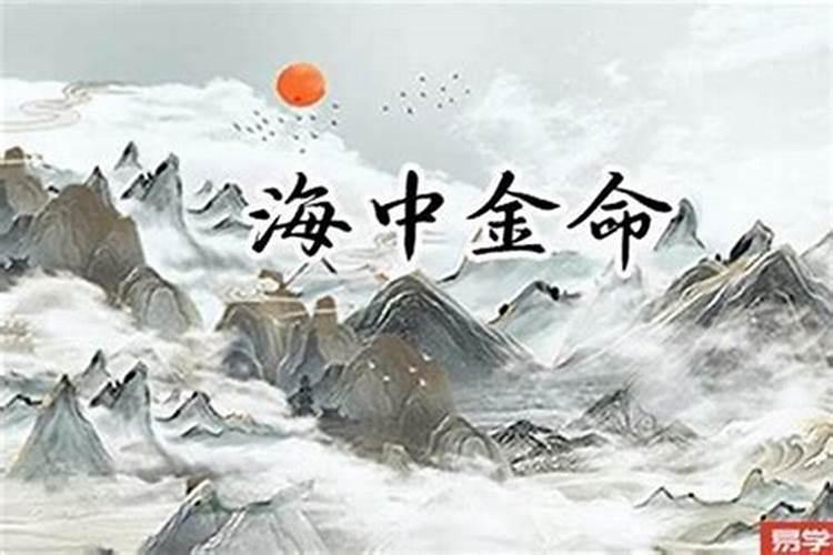 属鼠海中金命适合做什么行业,海中金命适合行业