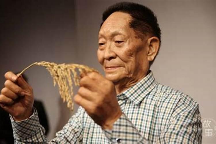 重阳节是几月几日农历还是阳历
