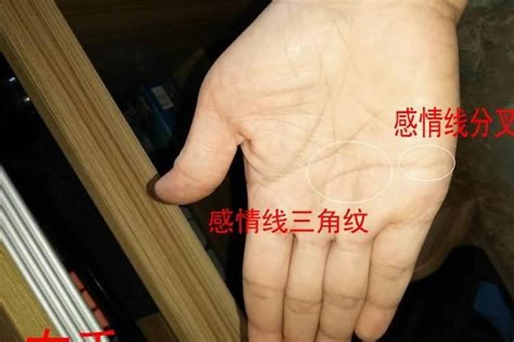 男鼠与女龙结婚好不好