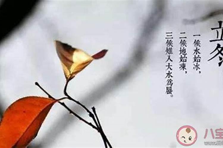 立冬后三天交运是指立冬后第三天吗？