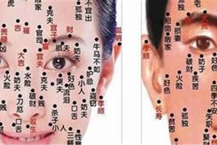 2025蛇宝宝几月出生最好命