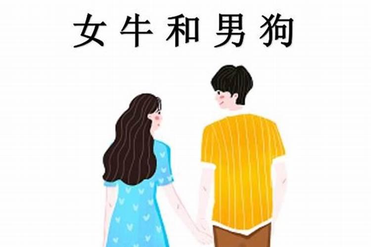 属牛男与属狗女的婚姻好吗,1994年男性属狗与1997年女性属牛婚配好百...