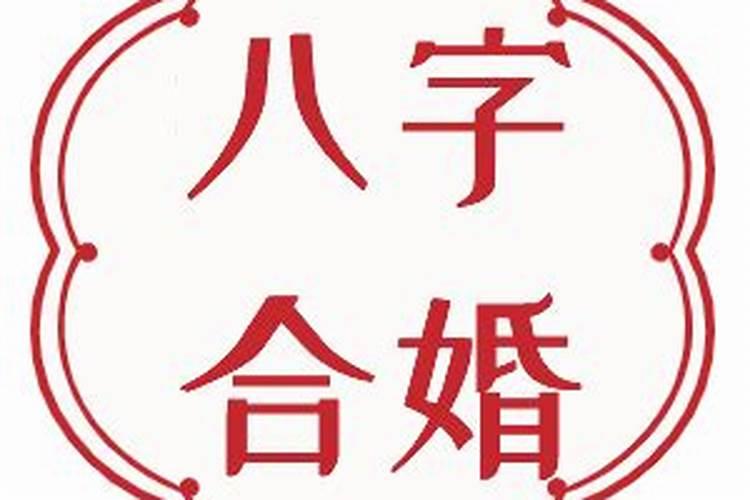 梦见自己生的孩子变成猫