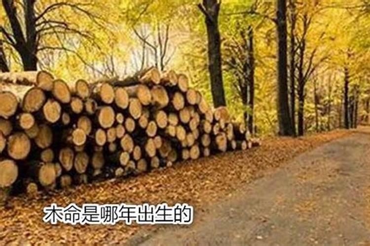 梦见妹妹被淹死有什么预兆？是什么意思？