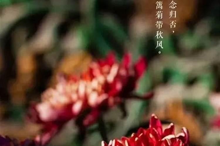 如何从八字大运和流年的干支中判断职业变动