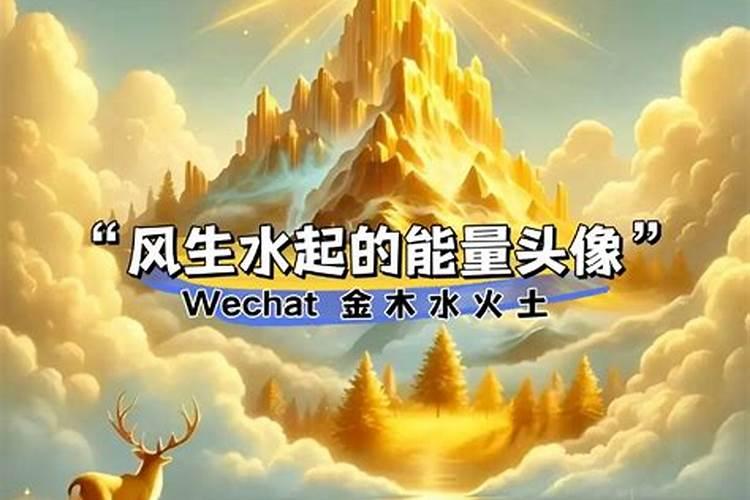 1971年的猪女未来五年的运程71年属猪人命理？