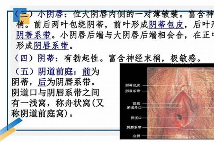 北方人常识