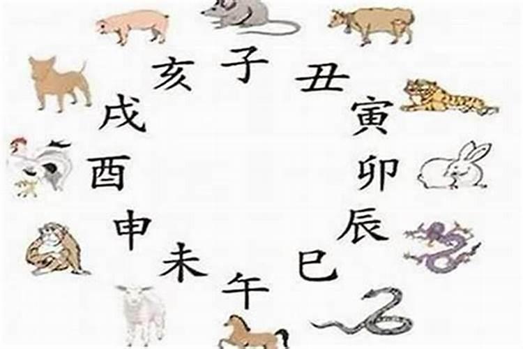 属虎本命年忌讳什么属相 避免接触生肖羊猴鼠？