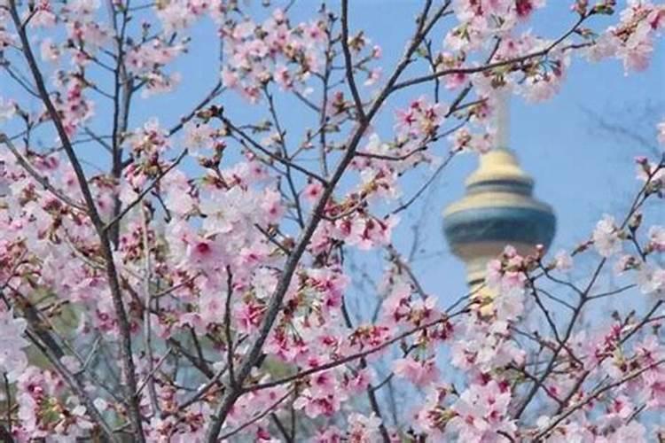 清明节旅游好去处(4月最佳旅行地出炉)