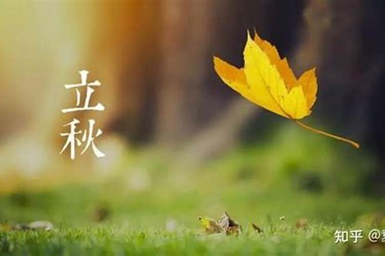 人的属相是跟年份还是时辰,每个人的生肖主要是看年份还是时辰