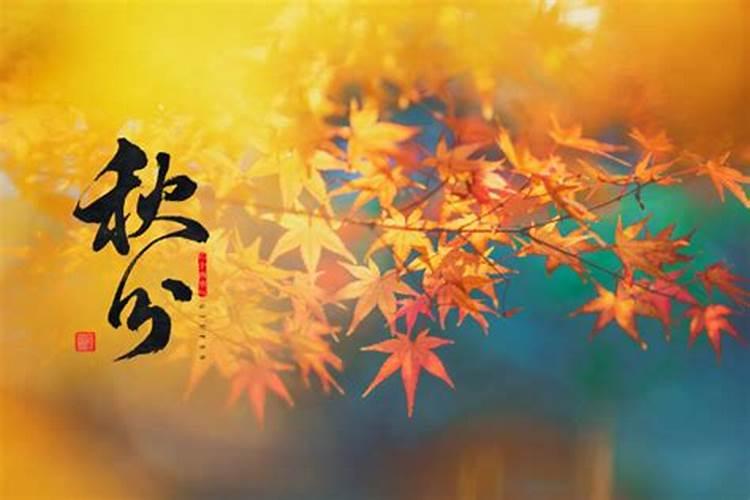 2023清明节祭奠亲人的说说短句 祈祷天堂的亲人们幸福快乐