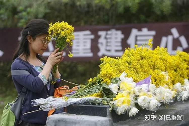 坟前栽菊花对子孙的影响(亲人坟头种菊花风水有什么讲究)