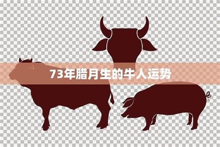 1977年腊月出生肖蛇男2025年农历每月运程