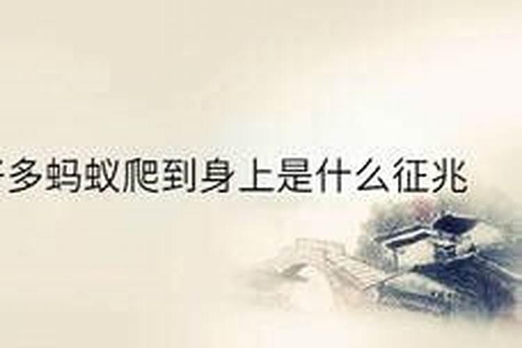 2025年犯太岁的几个属相