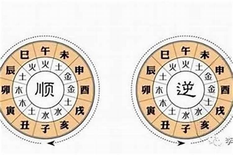 属鼠犯太岁的年份
