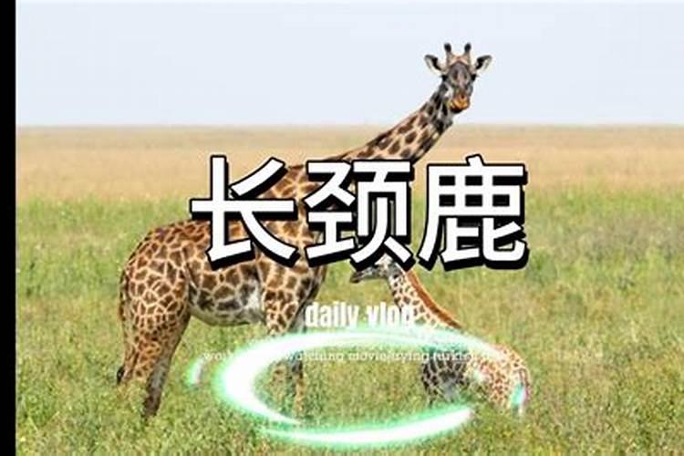 梦见涨水是什么意思 周公解梦