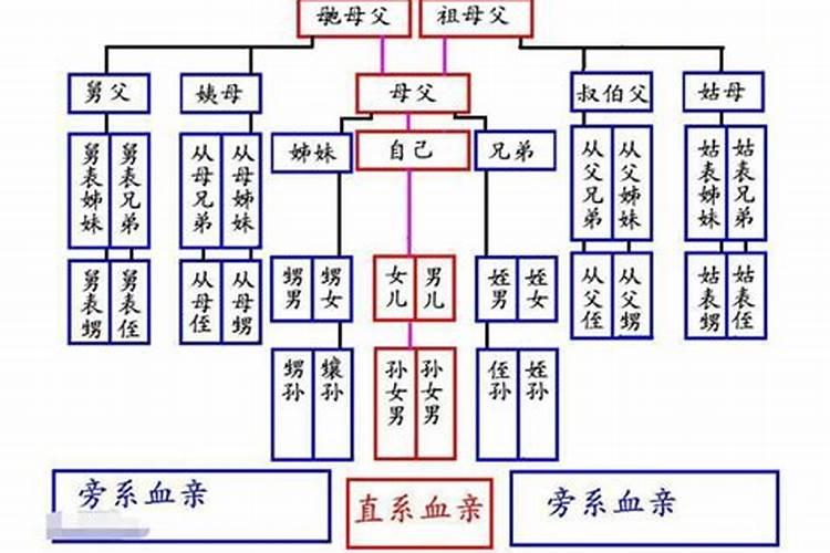 近亲三代怎么算