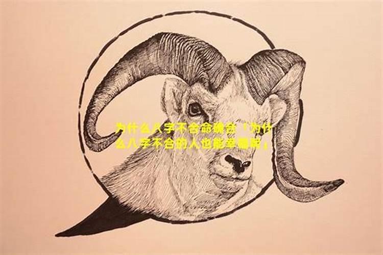 冬至扫墓习俗
