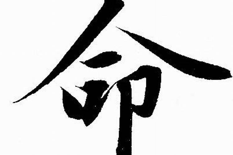 属马男和属猪女婚姻相配吗 感情烦恼多