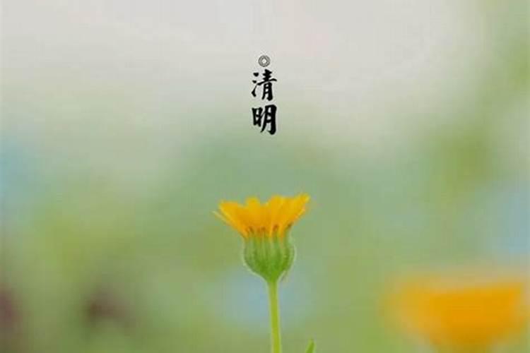 女孩清明节出生好不好聪明机智天胎之命