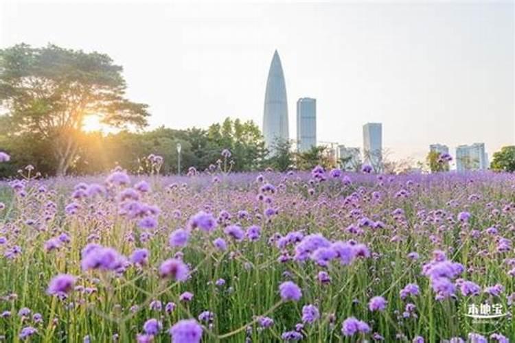 清明节有什么节日习俗