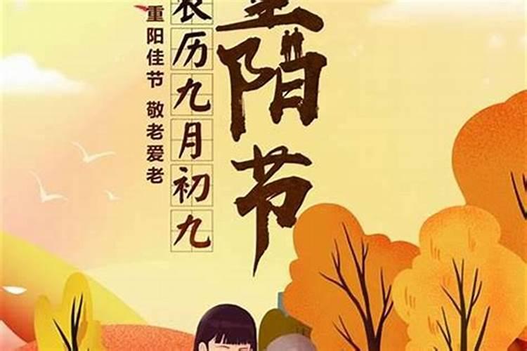 2025生肖猪的运势大全