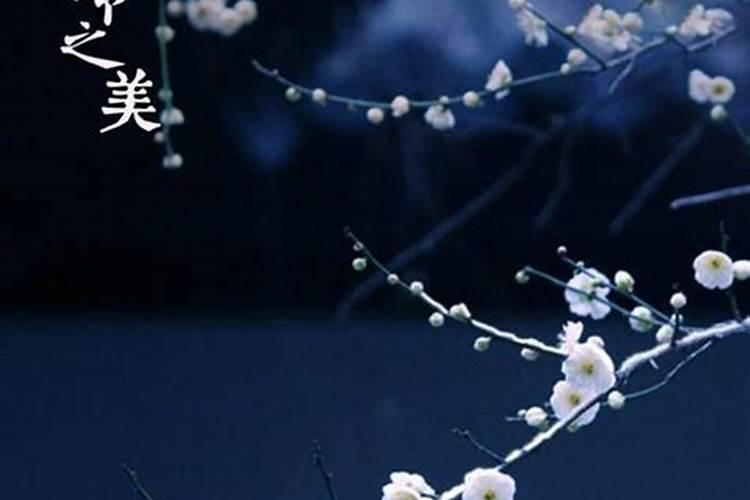 梦见车里很多钱的预兆