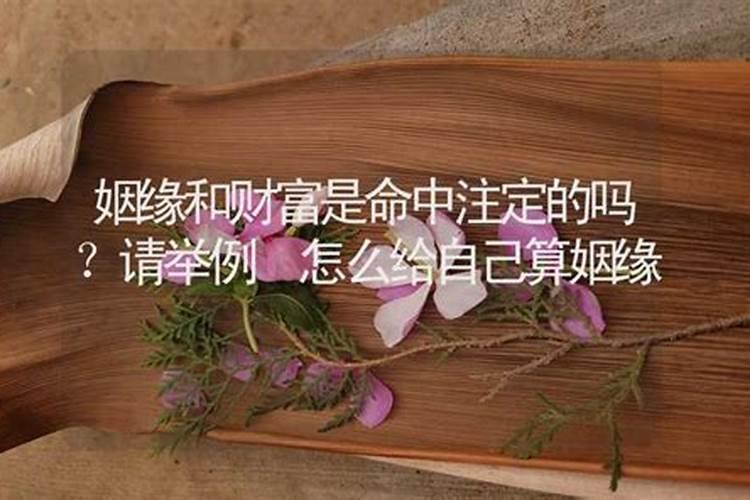 梦见妈妈又生了个弟弟