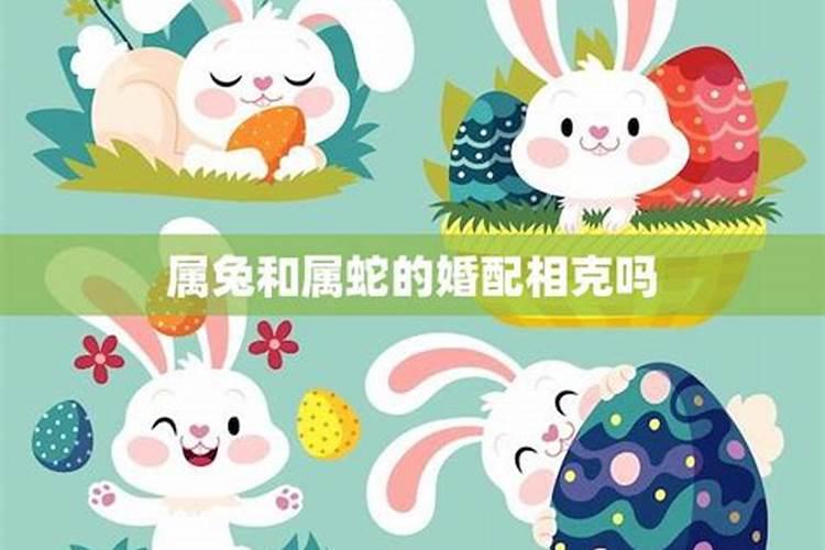 梦到母亲生了一个男孩是什么意思