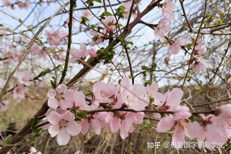 化德县景点 德化的景点