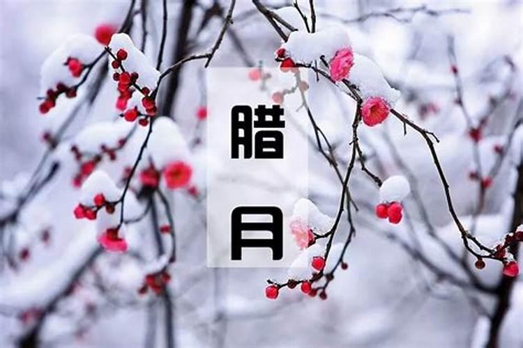 2024清明节具体哪一天几月几日 是固定的日期吗