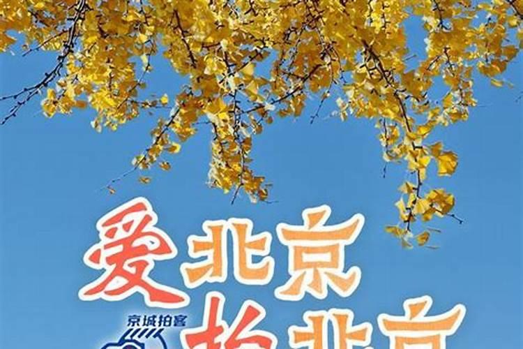 佛教怎么消除自己以前犯错的情债比如婚内出轨什么的