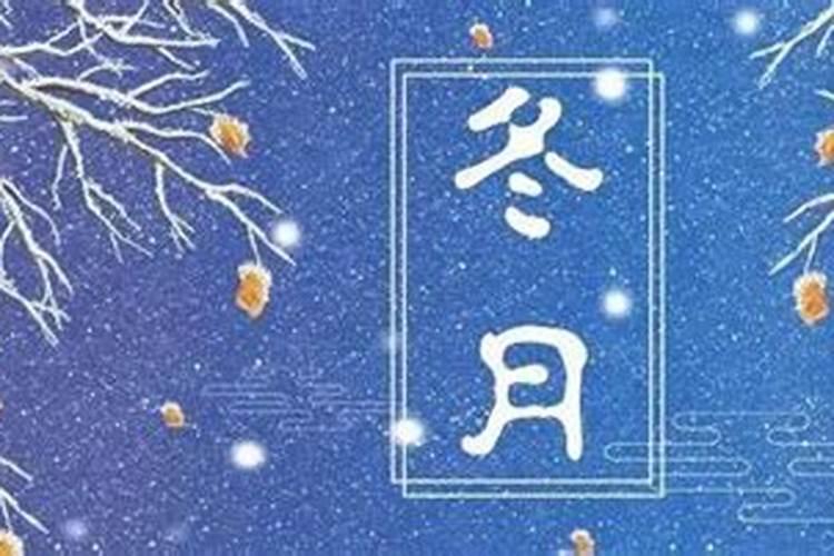 农历一九七九年冬月十二戊时生人命理