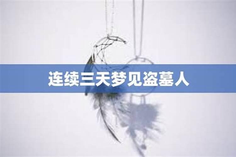 不同季节出生的属狗人性格和脾气