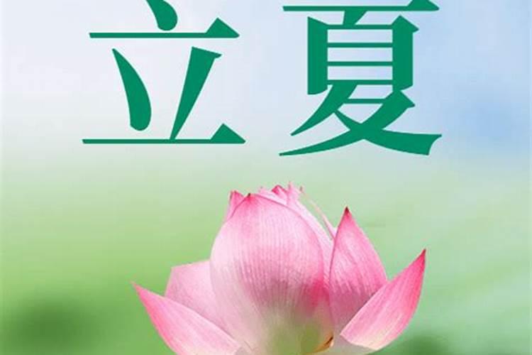 78年属马女人2025年运势
