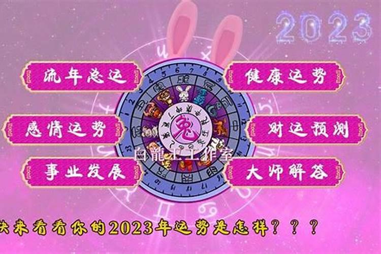 梦见好多皮皮虾的预兆