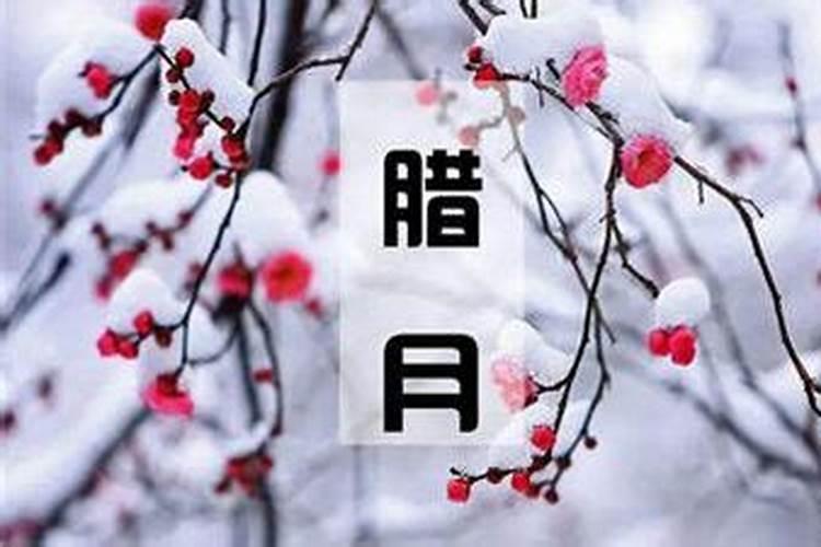 道观做法事一般念经是念什么经》