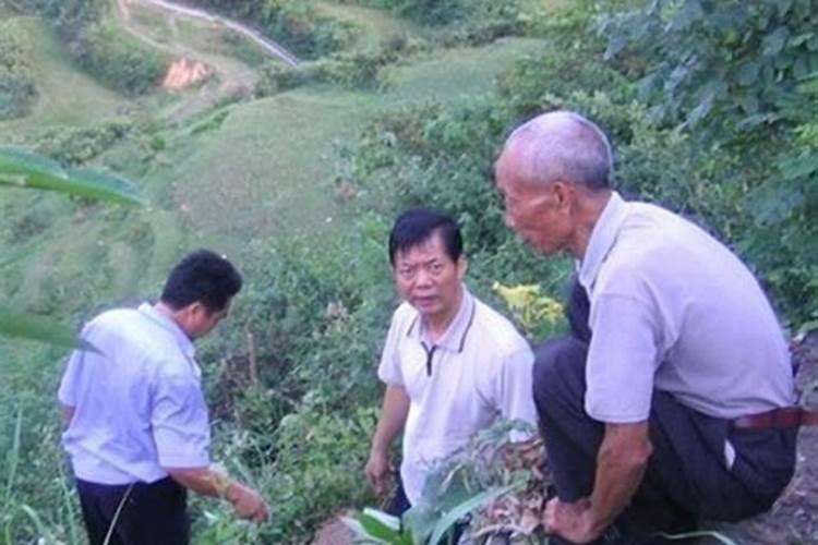 属猪腊月二十八出生命运如何 宝宝性格分析？