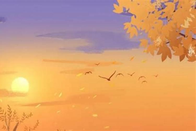 霜降下一个节气是什么节气 霜降后面的节气是什么