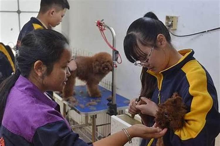 龙年犯太岁佩戴什么