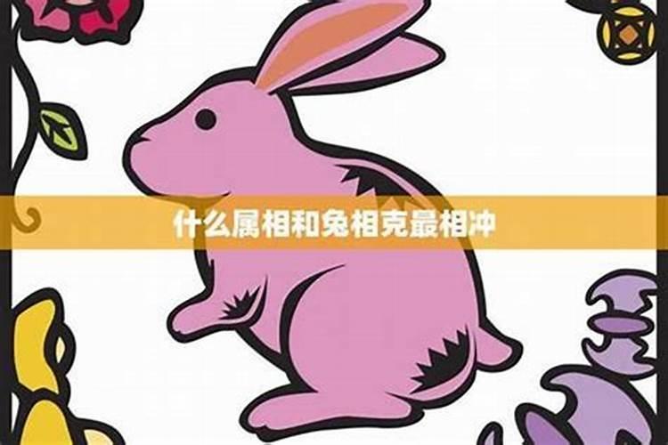 洛阳哪里的羊肉汤最正宗