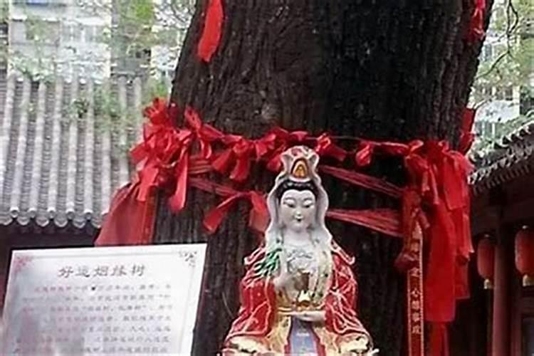 为什么有些人姻缘迟迟不来