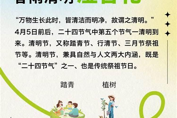 属蛇2025年全年运势