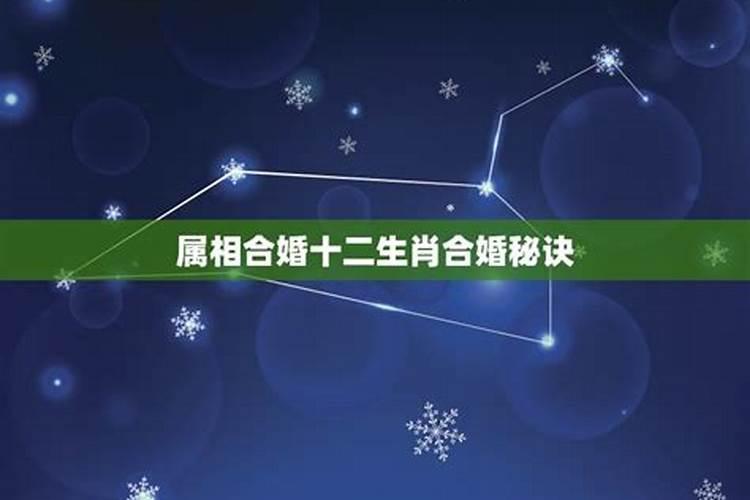羊和鼠在一起对谁不利 鼠和羊在一起有财运吗