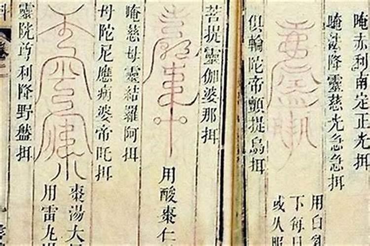 梦见带父母旅游的预兆
